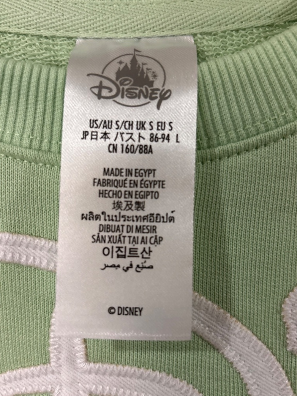 2026 Walt Disney World Logo Mint Green Crewneck Sweatshirt Size Small NWT - Picture 3 of 7